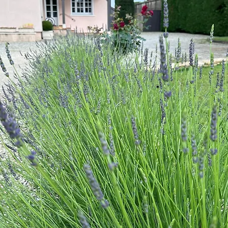 Belle Maison Au Coeur De Avec Piscine Privee, Cabotte Dionysos Villa