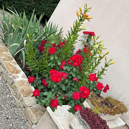 Belle Maison Au Coeur De Avec Piscine Privee, Cabotte Dionysos Beaune (Cote d'Or)