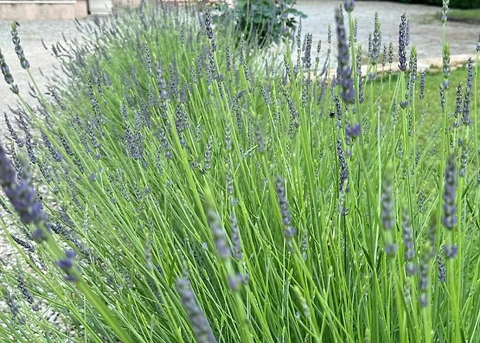 Belle Maison Au Coeur De Avec Piscine Privee, Cabotte Dionysos Villa
