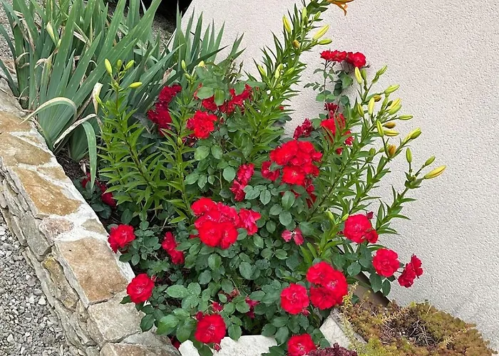 Belle Maison Au Coeur De Avec Piscine Privee, Cabotte Dionysos Beaune (Cote d'Or)